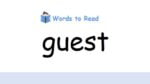 guest