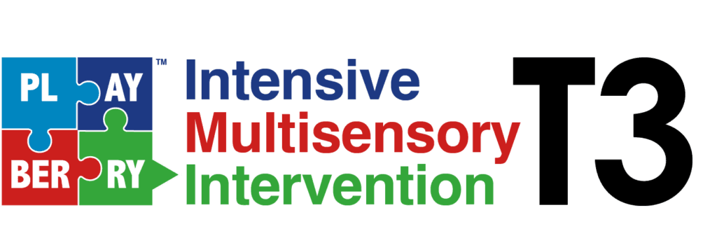 playBERRY LaserT3 logo